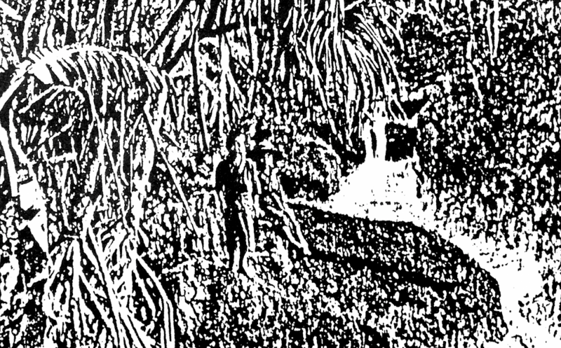 Pour aller plus loin : "Cohabiter : assemblages terrestres"